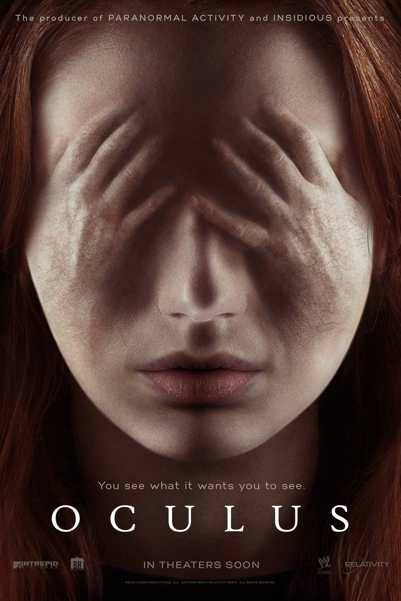 Oculus (2013) Dual Audio Hindi-English 720p BRRip Gdrive Link