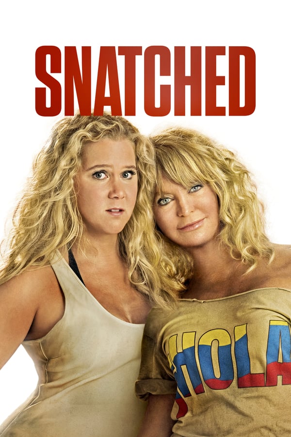 Snatched 2017 Dual Audio Hindi-English 480p 720p 1080p Bluray