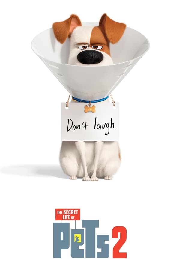 The Secret Life of Pets 2 2019 Dual Audio Hindi 480p 720p 1080p Bluray