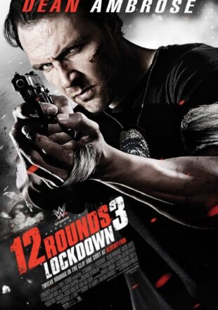 12 Rounds 3: Lockdown 2015 Dual Audio Hindi-English 480p 720p 1080p