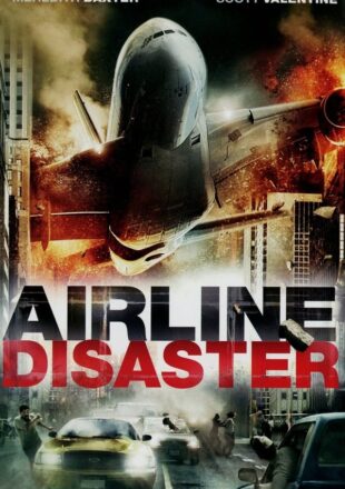 Airline Disaster 2010 Dual Audio Hindi-English 480p 720p Bluray