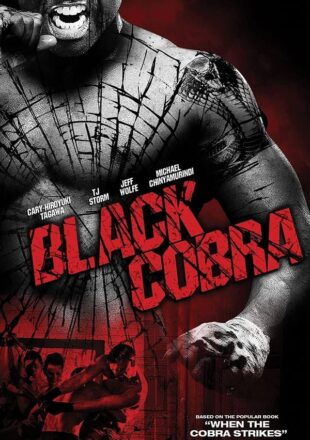 Black Cobra 2012 Dual Audio Hindi-English 480p 720p Bluray Gdrive Link