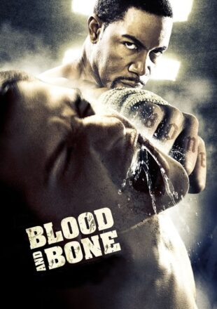 Blood and Bone 2009 Dual Audio Hindi-English 480p 720p Bluray Gdrive