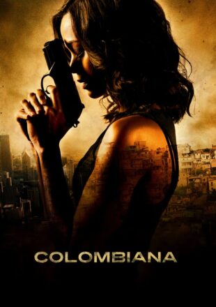 Colombiana 2011 Dual Audio Hindi-English 480p 720p Bluray