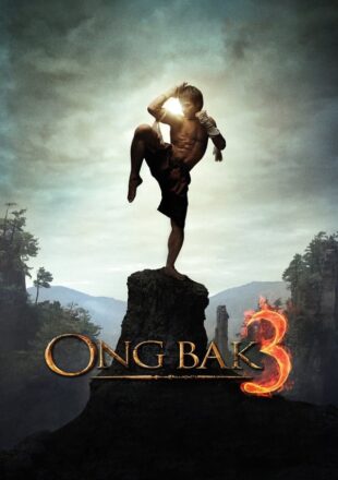 Ong Bak 3 2010 Dual Audio Hindi-English 480p 720p Bluray Gdrive Link