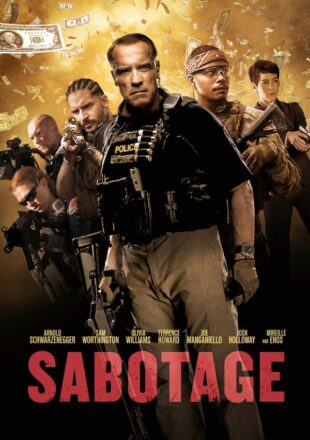 Sabotage 2014 Dual Audio Hindi-English 480p 720p Bluray Gdrive Link