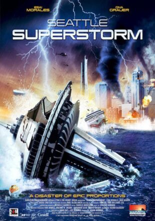 Seattle Superstorm 2012 Dual Audio Hindi-English 480p 720p Bluray