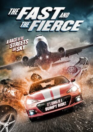 The Fast and the Fierce 2017 Dual Audio Hindi-English 480p 720p Bluray