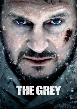 The Grey 2011 Dual Audio Hindi-English 480p 720p Bluray Gdrive Link