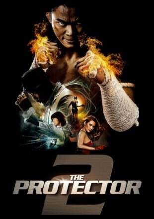 The Protector 2 2013 Dual Audio Hindi-English 480p 720p Bluray Gdrive