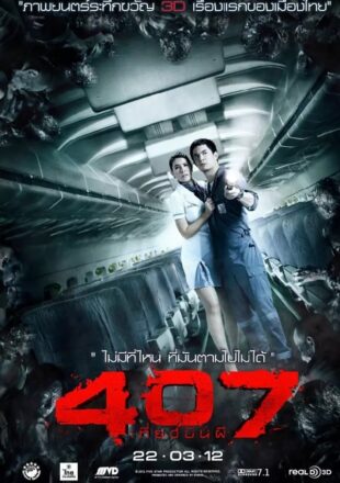 407 Dark Flight 3D 2012 Dual Audio Hindi-English 480p 720p Gdrive Link