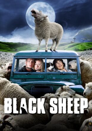 Black Sheep 2006 Dual Audio Hindi-English 480p 720p Bluray Gdrive