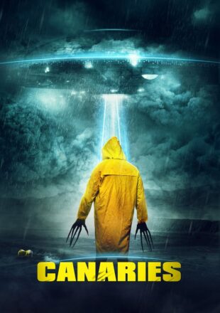 Canaries 2017 Dual Audio Hindi-English 480p 720p Bluray Gdrive Link