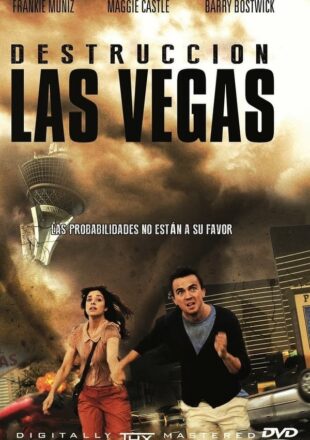 Destruction: Las Vegas 2013 Dual Audio Hindi-English 480p 720p Bluray