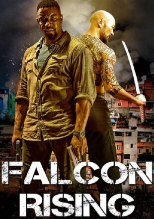 Falcon Rising 2014 Dual Audio Hindi-English 480p 720p Gdrive Link