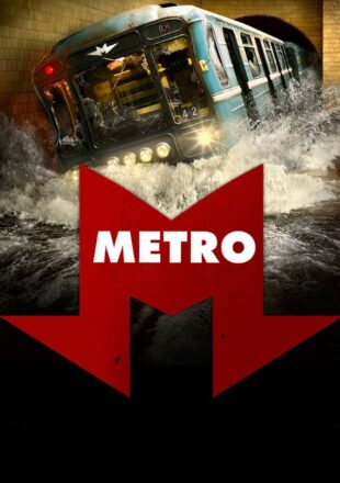 Metro 2013 Dual Audio Hindi-English 480p 720p Bluray Gdrive Link