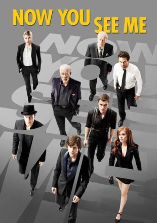 Now You See Me 2013 Dual Audio Hindi-English 480p 720p 1080p Bluray