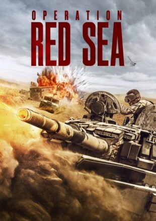 Operation Red Sea 2018 Dual Audio Hindi-English 480p 720p 1080p