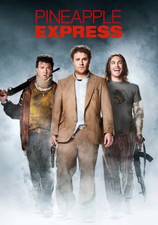 Pineapple Express 2008 Dual Audio Hindi-English 480p 720p Gdrive Link