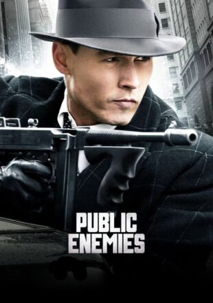 Public Enemie 2009 Dual Audio Hindi-English 480p 720p 1080p Gdrive