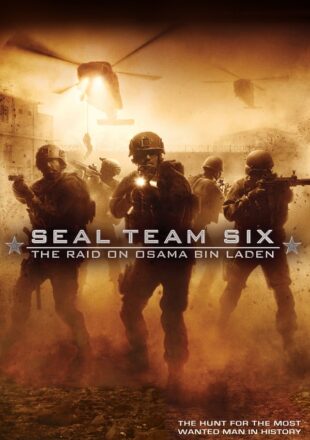 Seal Team Six: The Raid on Osama Bin Laden 2012 Dual Audio Hindi-English