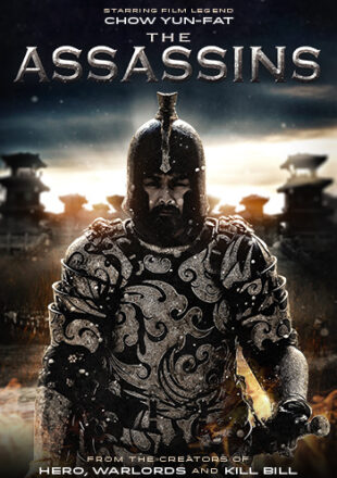 The Assassin 2012 Dual Audio Hindi-English 480p 720p Gdrive Link