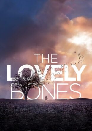 The Lovely Bones 2009 Dual Audio Hindi-English 480p 720p Bluray