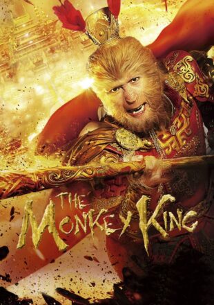 The Monkey King 2014 Dual Audio Hindi-Chinese 480p 720p 1080p Bluray