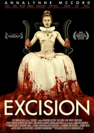 Excision 2012 Dual Audio Hindi-English 480p 720p Gdrive Link