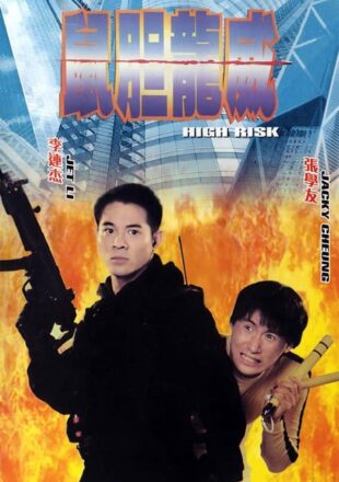 High Risk 1995 Dual Audio Hindi-English 480p 720p Gdrive Link