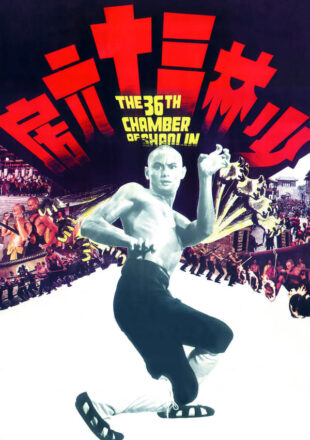 The 36th Chamber of Shaolin 1978 Dual Audio Hindi-English 480p 720p 1080p