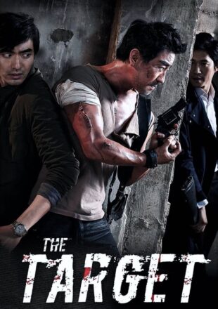 The Target 2014 Dual Audio Hindi-English 480p 720p Gdrive Link