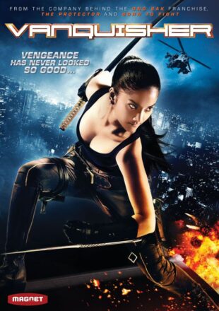 Vanquisher 2009 Dual Audio Hindi-English 480p 720p Bluray Gdrive Link