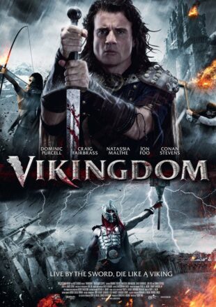 Vikingdom 2013 Dual Audio Hindi-English 480p 720p Gdrive Link