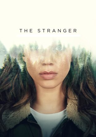 The Stranger Season 1 Dual Audio Hindi-English 720p All Episode