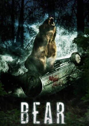 Bear 2010 Dual Audio Hindi-English 480p 720p Gdrive Link