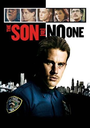 The Son of No One 2011 Dual Audio Hindi-English 480p 720p 1080p