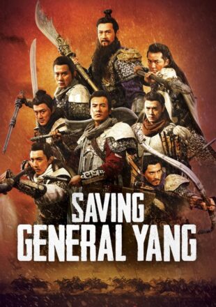 Saving General Yang 2013 Dual Audio Hindi-Chinese 480p 720p Bluray