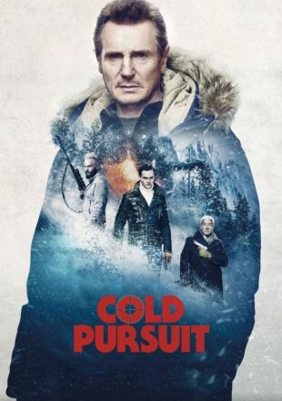 Cold Pursuit 2019 Dual Audio Hindi-English 480p 720p 1080p Gdrive Link