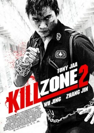 Kill Zone 2 2015 Dual Audio Hindi-English 480p 720p Gdrive Link