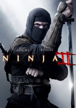 Ninja Shadow of a Tear 2013 Dual Audio Hindi-English 480p 720p