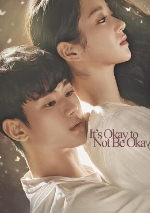 It’s Okay to Not Be Okay Season 1 Hindi Dubbed 480p 720p 1080p