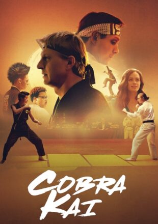 Cobra Kai Season 2 Dual Audio Hindi-English 480p 720p 1080p