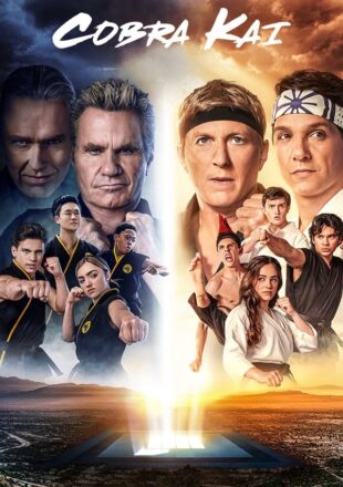 Cobra Kai Season 3 Dual Audio Hindi-English 480p 720p 1080p