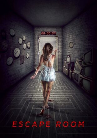 Escape Room 2017 Dual Audio Hindi-English 480p 720p 1080p