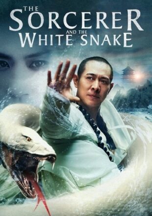 The Sorcerer And The White Snake 2011 Dual Audio Hindi-English