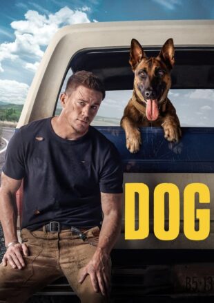 Dog 2022 Dual Audio Hindi-English 480p 720p 1080p Bluray