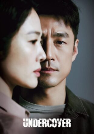 Undercover Season 1 Hindi Korean English 480p 720p 1080p