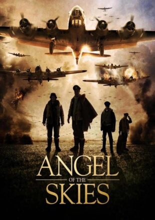 Angel of the Skies 2013 Dual Audio Hindi-English 480p 720p