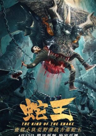 King of Snake 2020 Dual Audio Hindi-Chinese 480p 720p